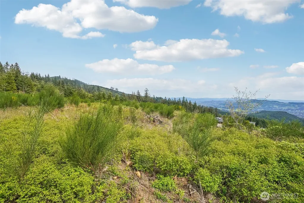 181 High Bank Lane Woodland WA 98674