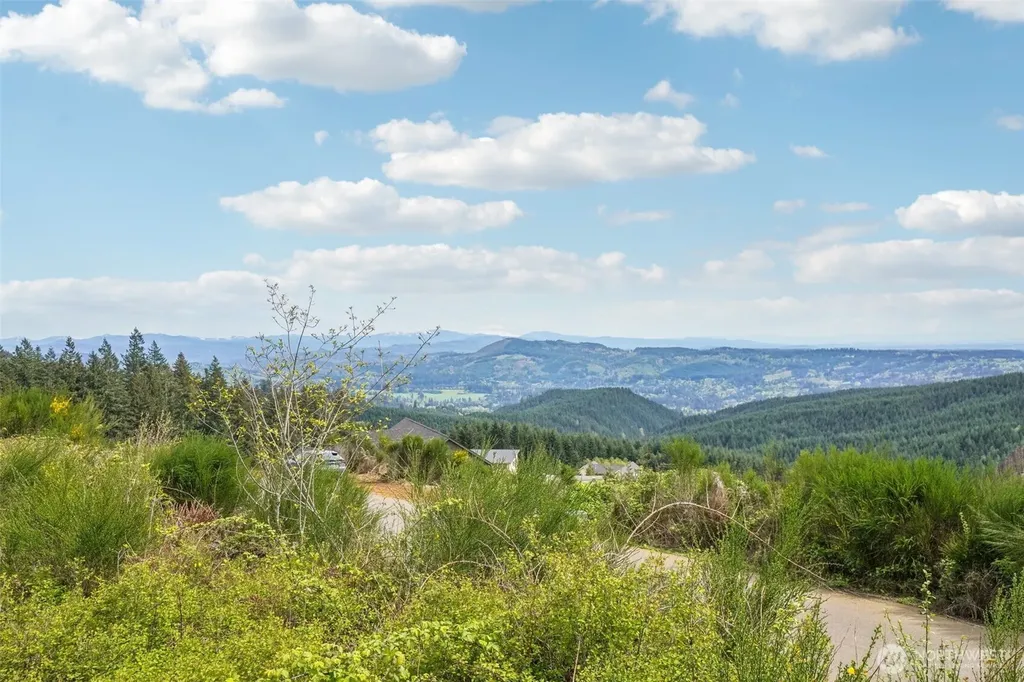 181 High Bank Lane Woodland WA 98674