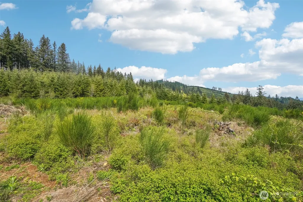 181 High Bank Lane Woodland WA 98674