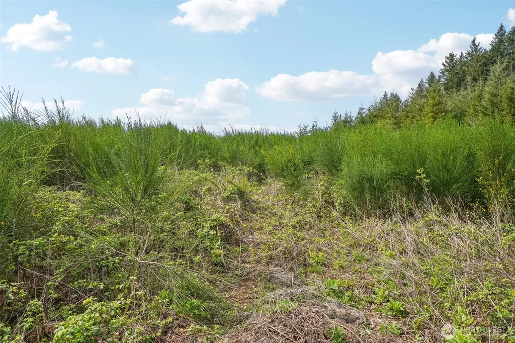 181 High Bank Lane Woodland WA 98674