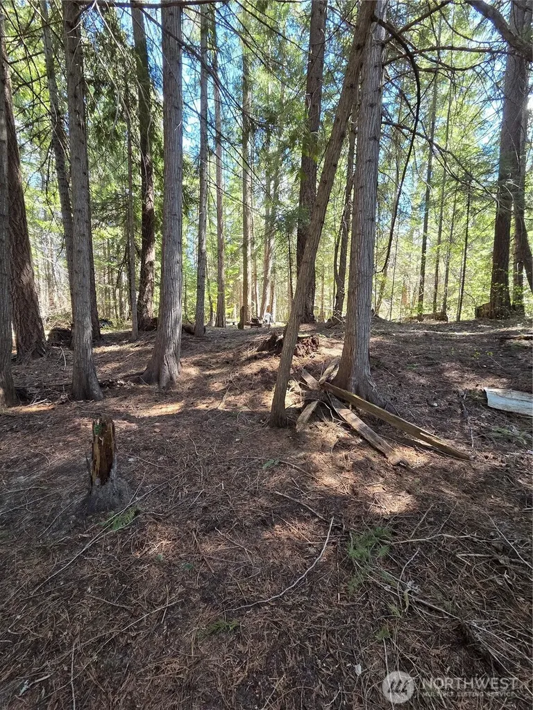 0 W Shugart Flats Road Leavenworth WA 98826