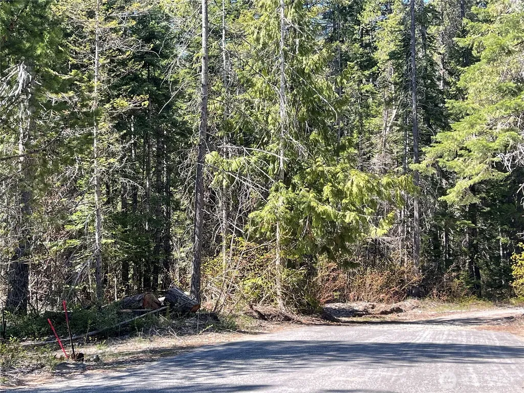 0 W Shugart Flats Road Leavenworth WA 98826