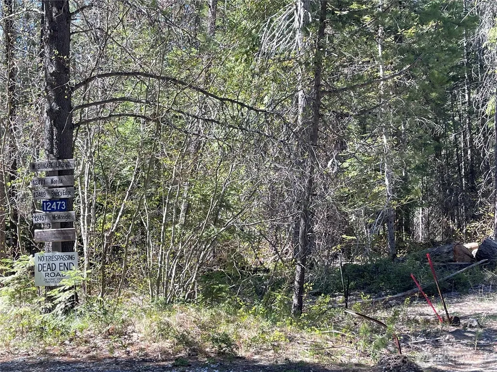 0 W Shugart Flats Road Leavenworth WA 98826