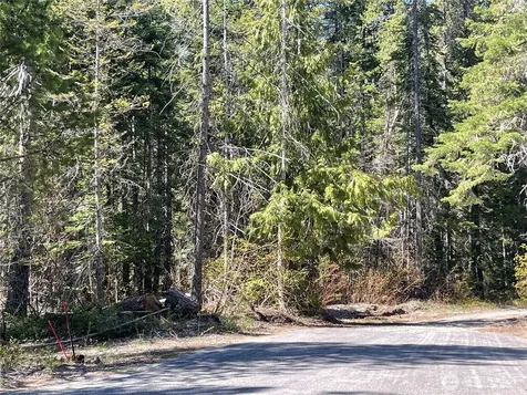 0 W Shugart Flats Road Leavenworth WA 98826