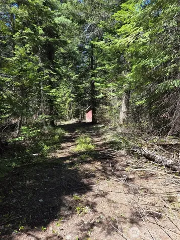 0 W Shugart Flats Road Leavenworth WA 98826