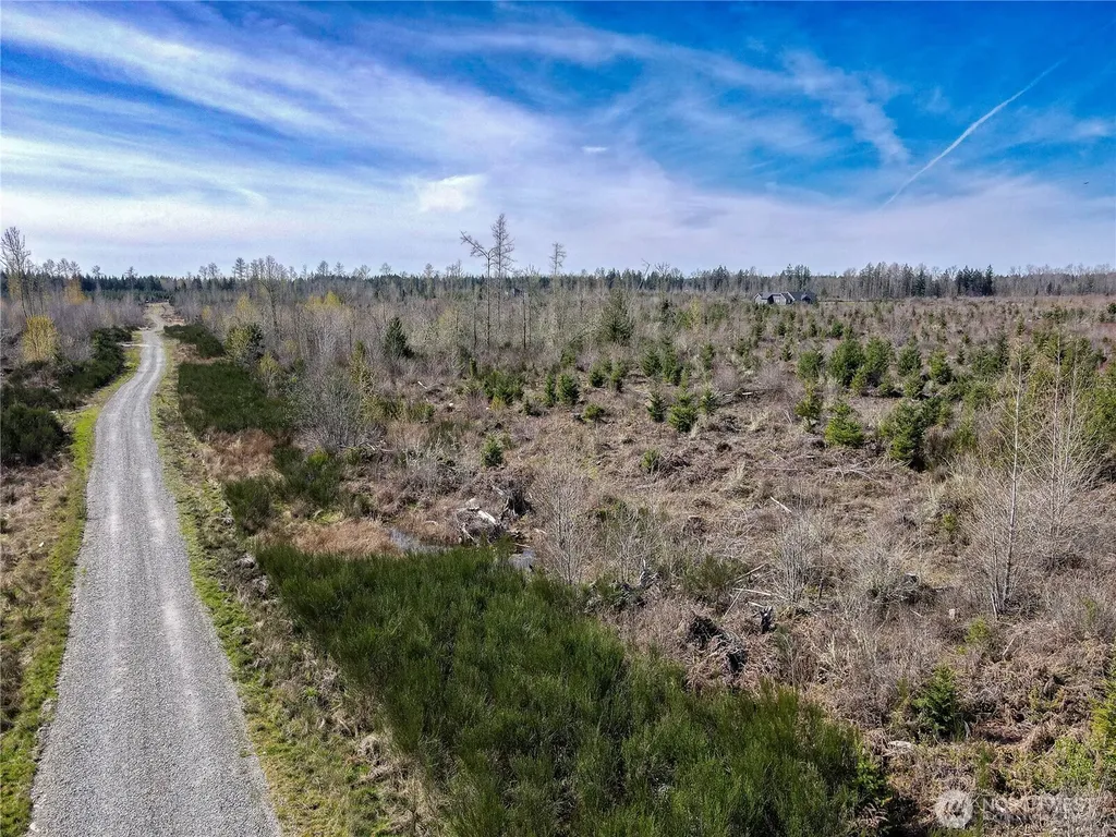 1631 334th Street E Roy WA 98580