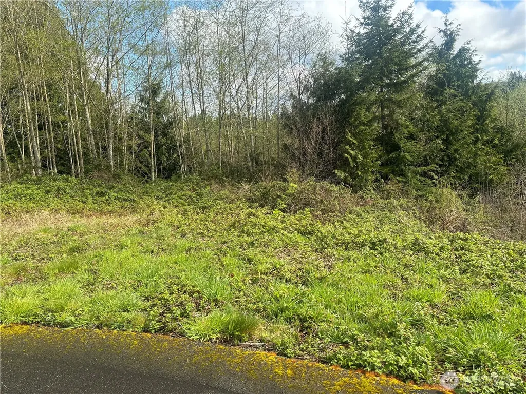 10 Timber Lane Elma WA 98541