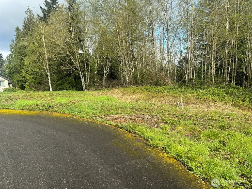 10 Timber Lane Elma WA 98541