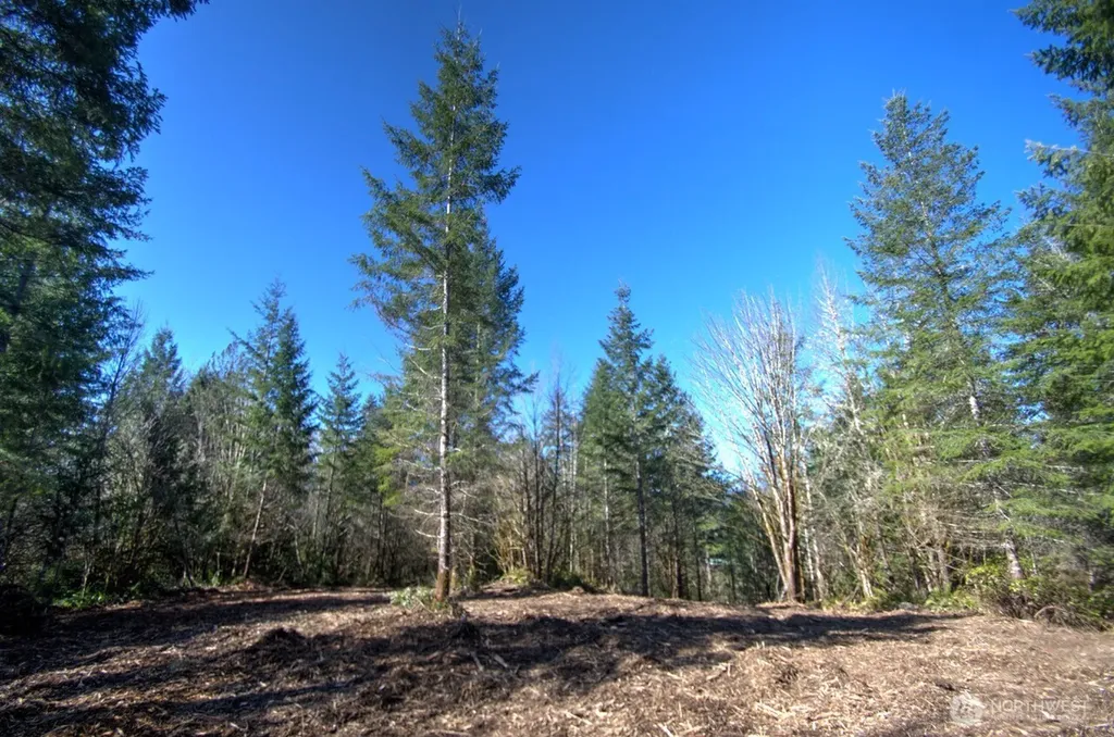 0 Delphi Road SW Olympia WA 98512