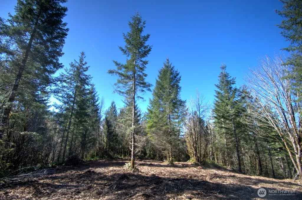 0 Delphi Road SW Olympia WA 98512