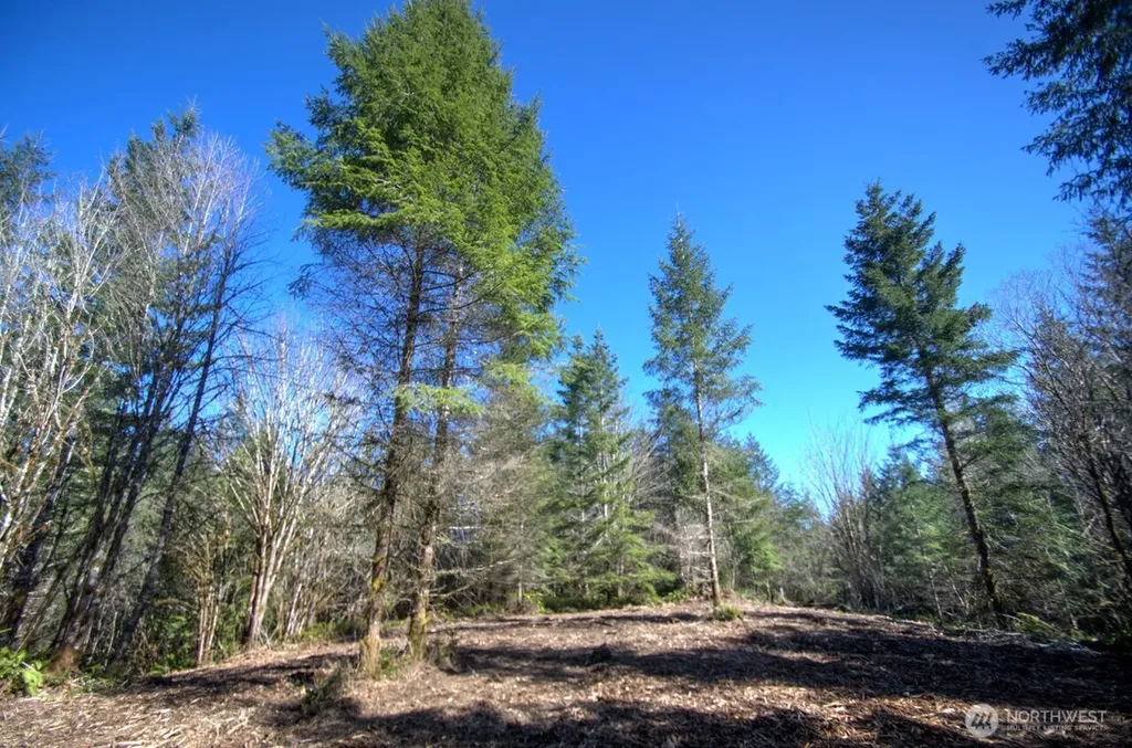 0 Delphi Road SW Olympia WA 98512