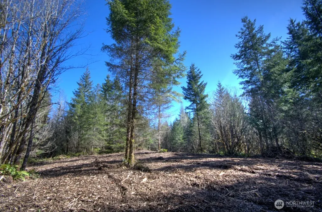 0 Delphi Road SW Olympia WA 98512