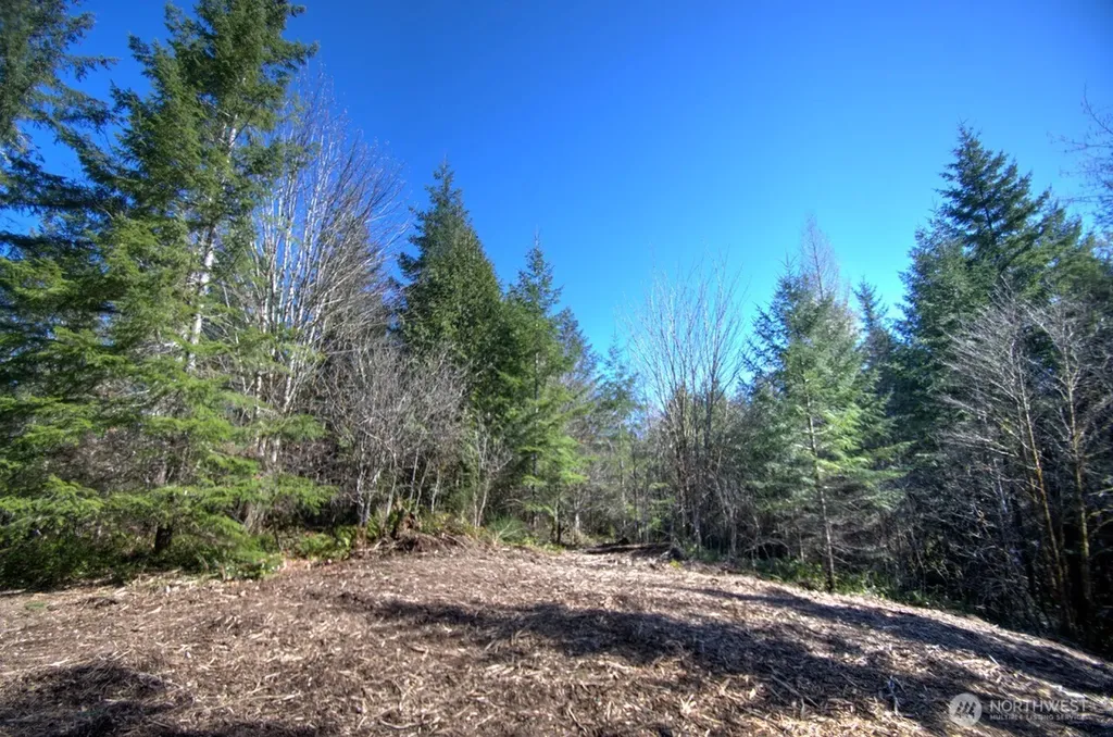 0 Delphi Road SW Olympia WA 98512