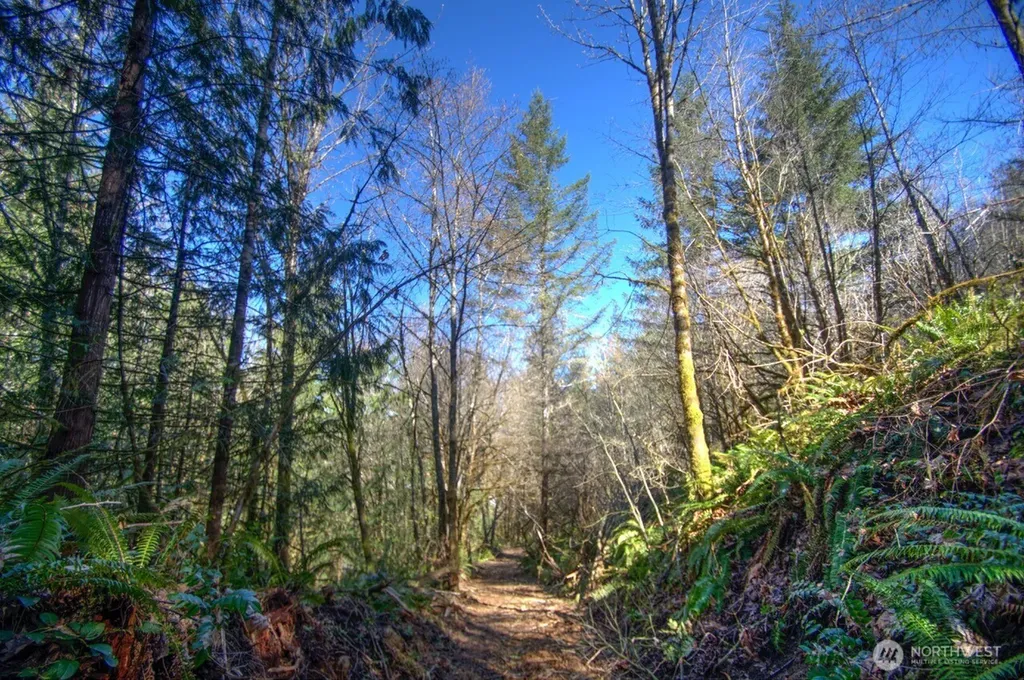 0 Delphi Road SW Olympia WA 98512