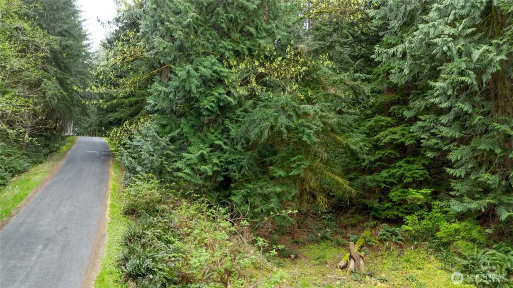 13 Wisteria Lane Bellingham WA 98229