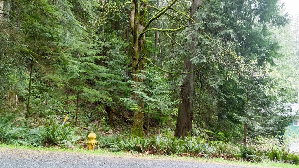 13 Wisteria Lane Bellingham WA 98229