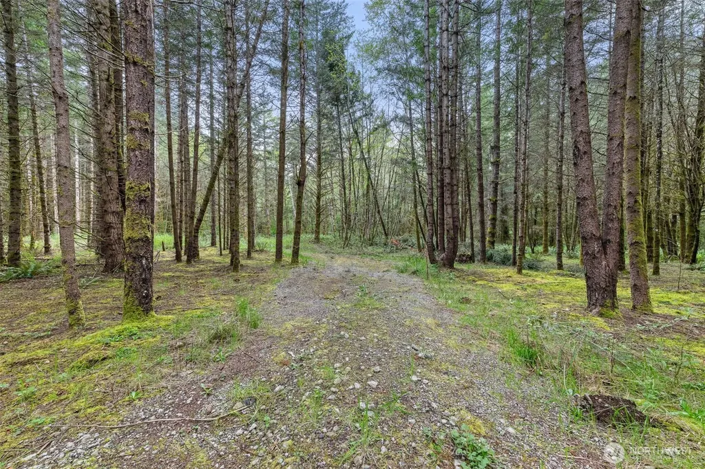14439 Kayson Lane SE Tenino WA 98589