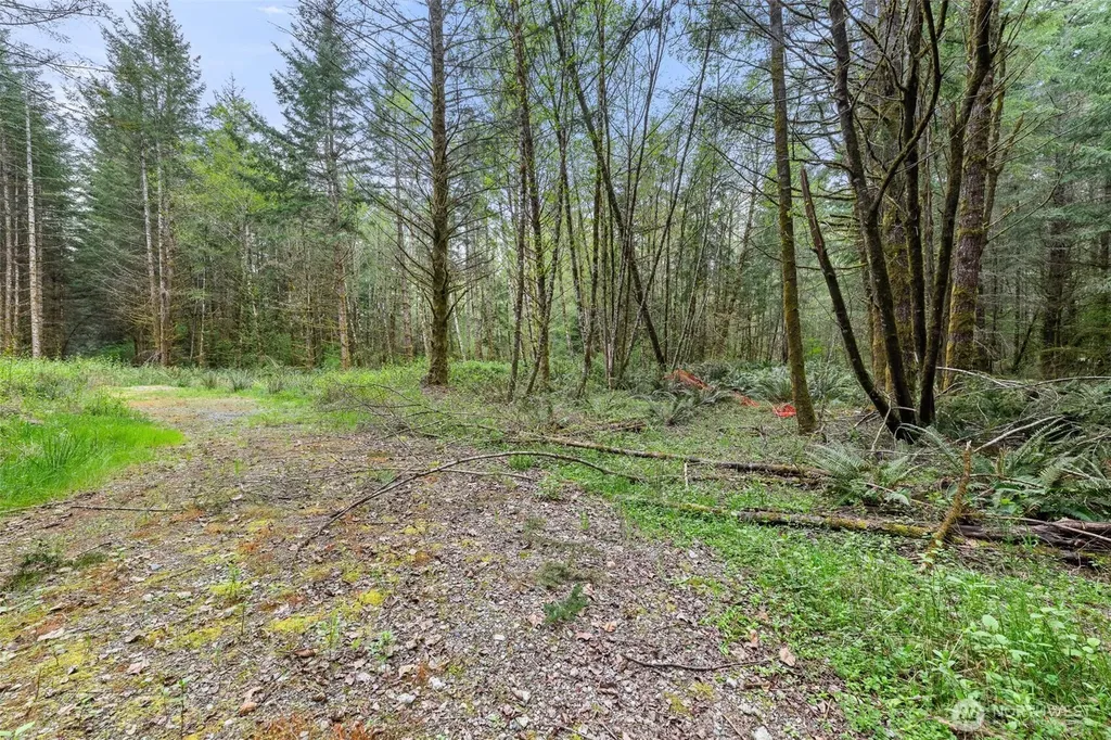14439 Kayson Lane SE Tenino WA 98589