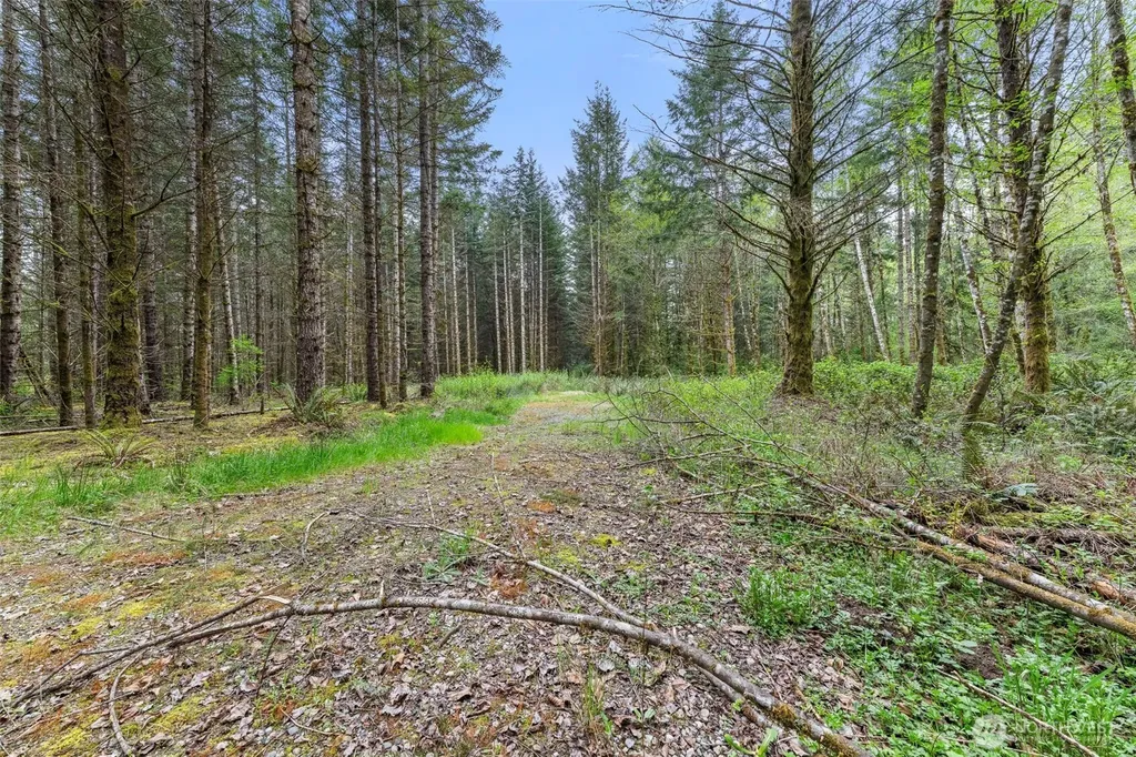 14439 Kayson Lane SE Tenino WA 98589