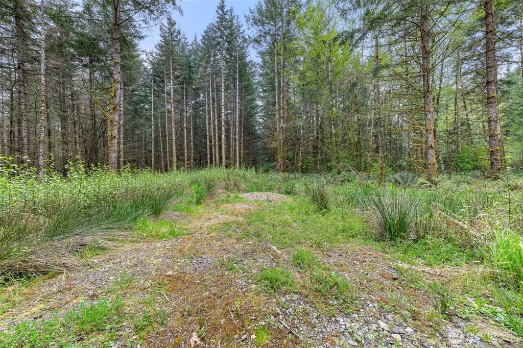14439 Kayson Lane SE Tenino WA 98589