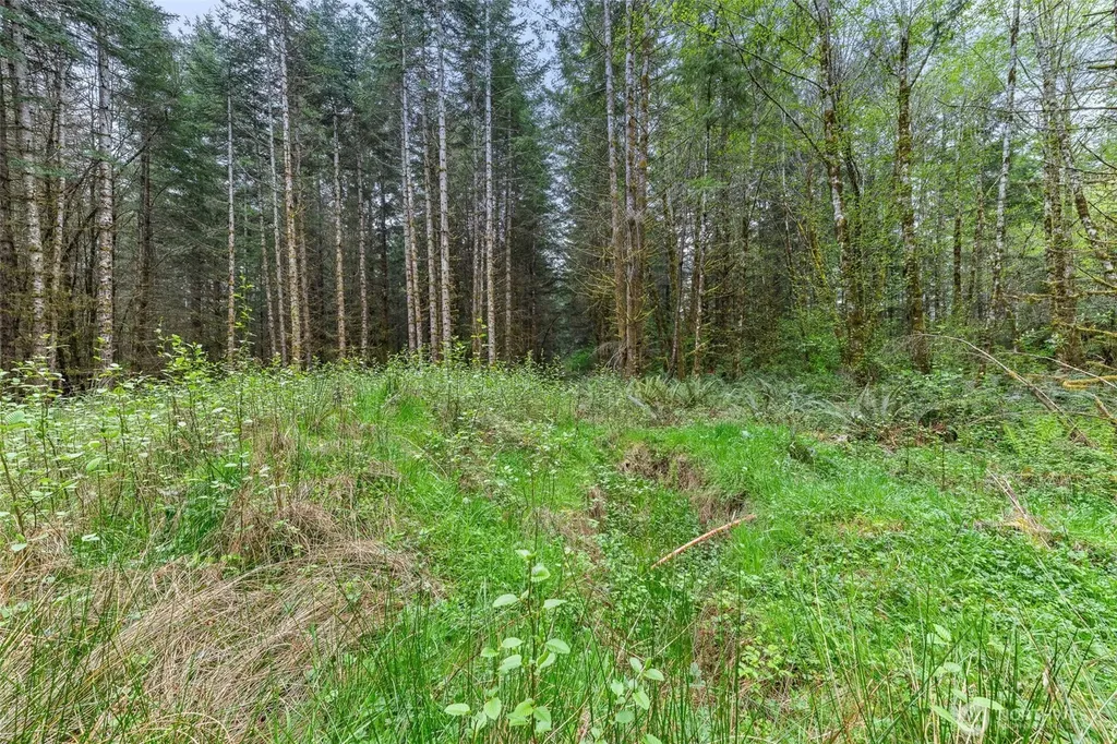 14439 Kayson Lane SE Tenino WA 98589