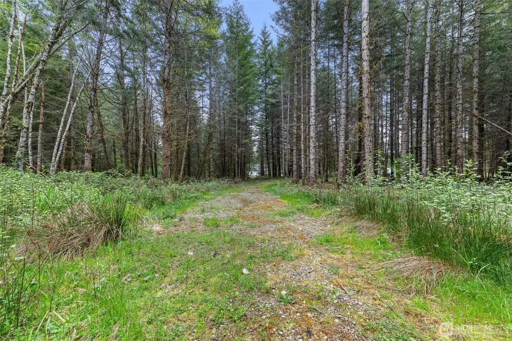 14439 Kayson Lane SE Tenino WA 98589
