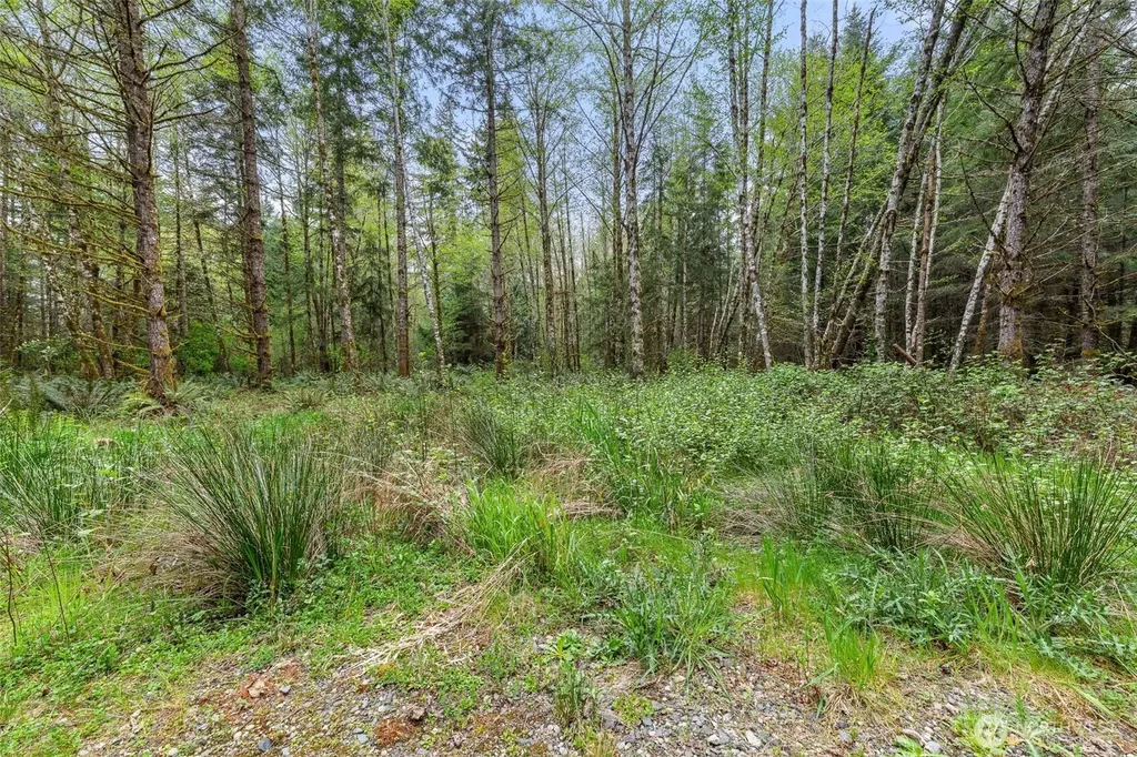 14439 Kayson Lane SE Tenino WA 98589