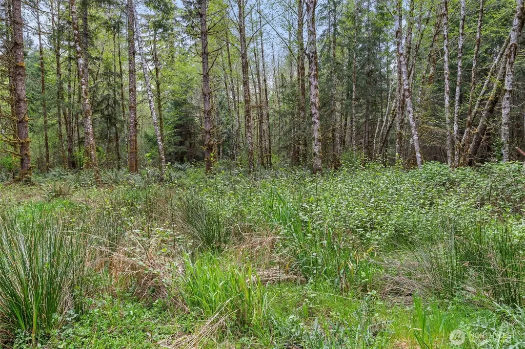 14439 Kayson Lane SE Tenino WA 98589