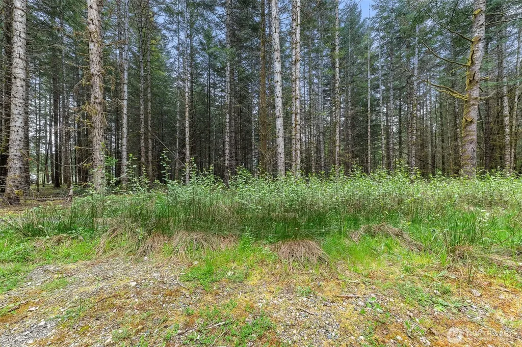 14439 Kayson Lane SE Tenino WA 98589