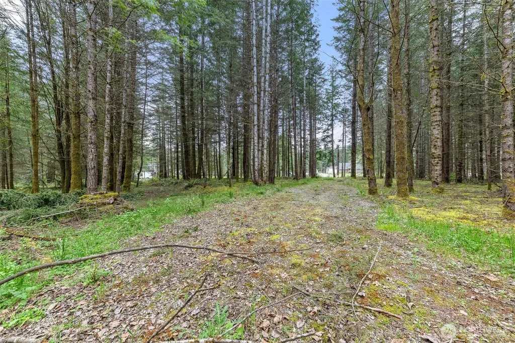 14439 Kayson Lane SE Tenino WA 98589