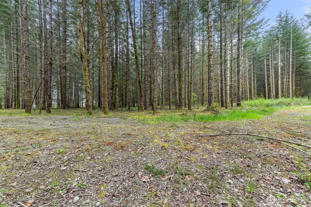 14439 Kayson Lane SE Tenino WA 98589