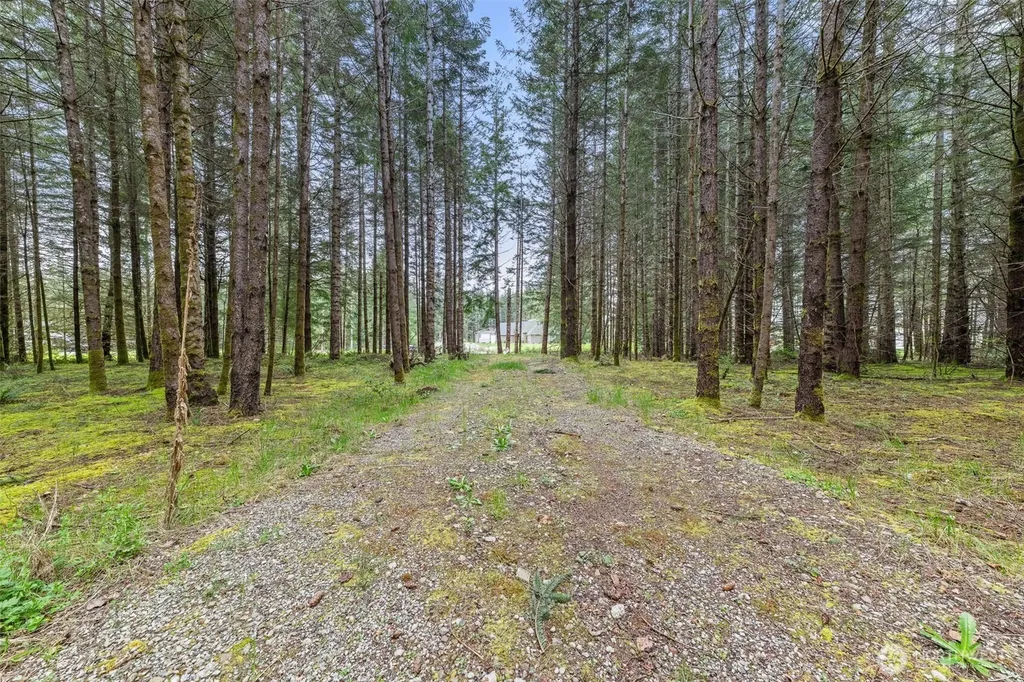 14439 Kayson Lane SE Tenino WA 98589