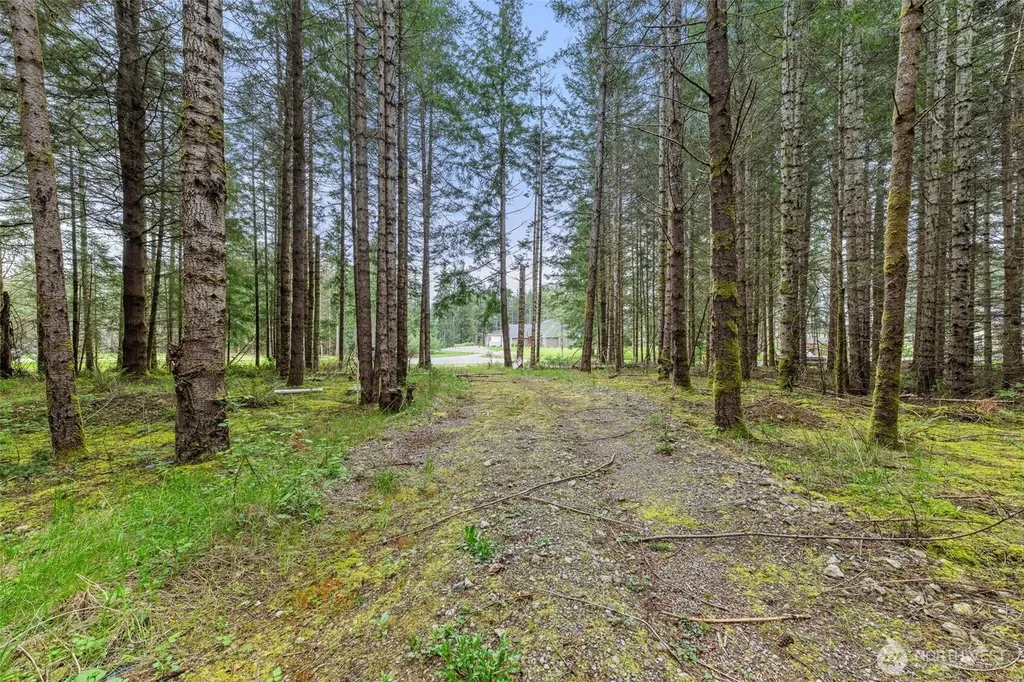 14439 Kayson Lane SE Tenino WA 98589