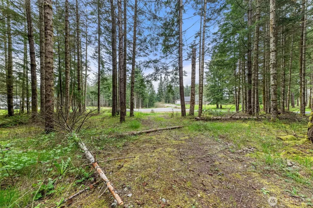 14439 Kayson Lane SE Tenino WA 98589