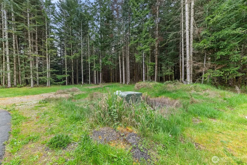14439 Kayson Lane SE Tenino WA 98589