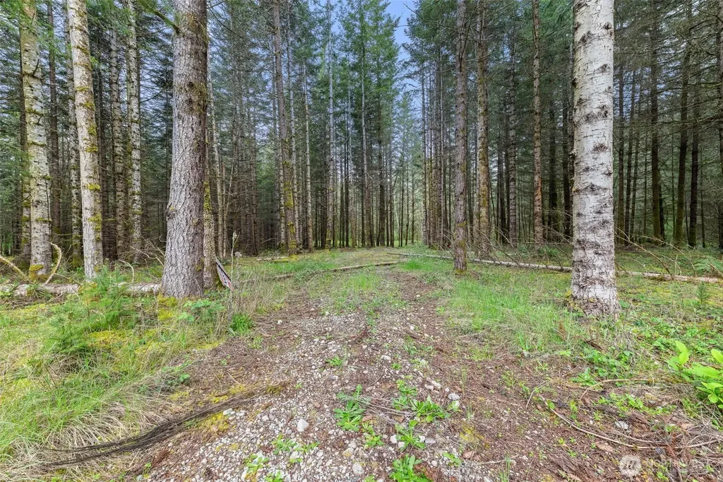 14439 Kayson Lane SE Tenino WA 98589
