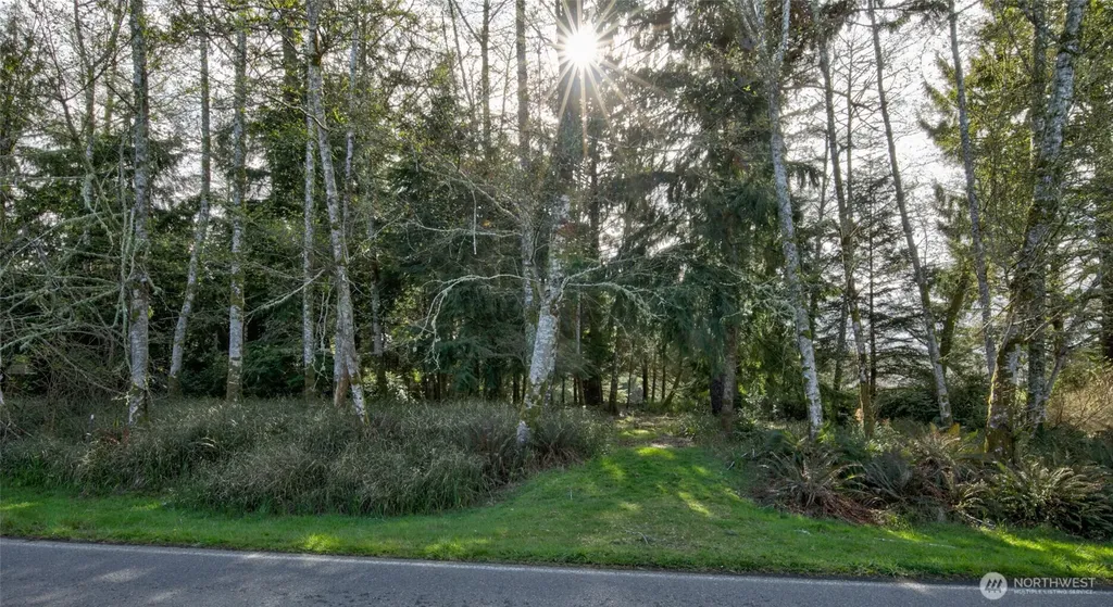 189 Duck Lake Drive NE Ocean Shores WA 98569
