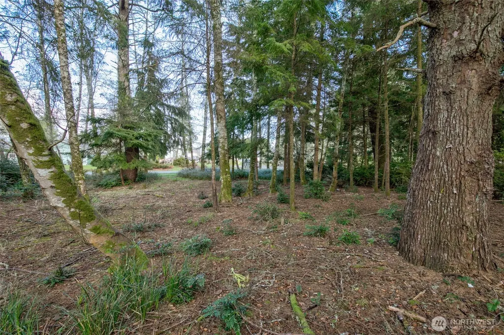 189 Duck Lake Drive NE Ocean Shores WA 98569