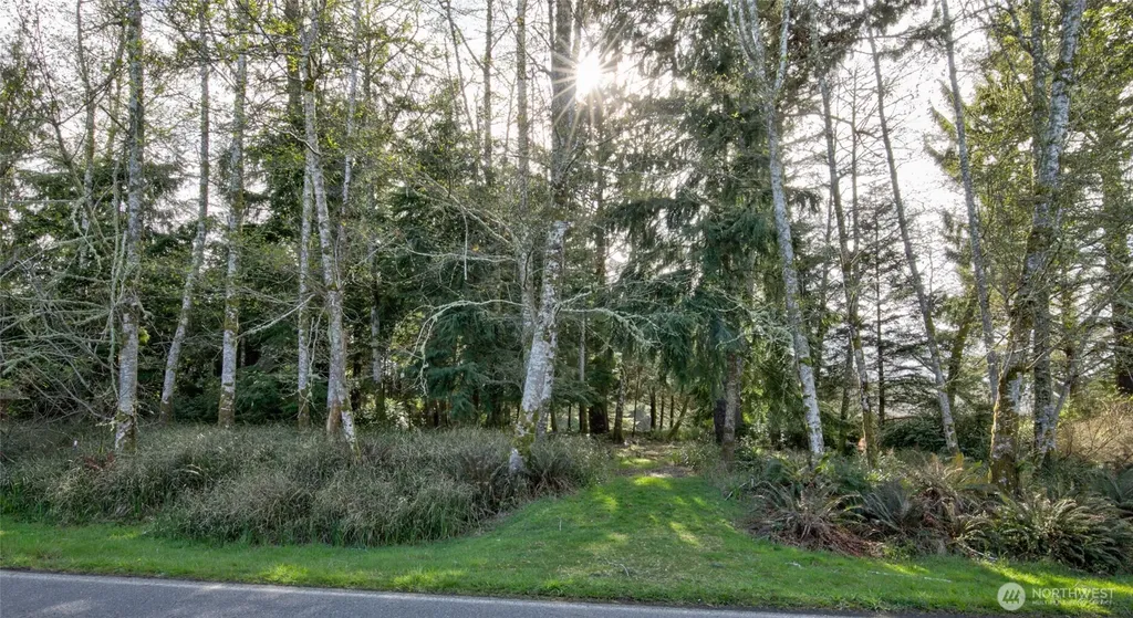 189 Duck Lake Drive NE Ocean Shores WA 98569