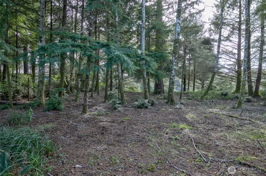 189 Duck Lake Drive NE Ocean Shores WA 98569