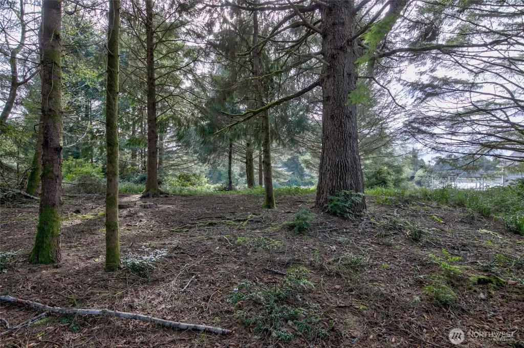 189 Duck Lake Drive NE Ocean Shores WA 98569