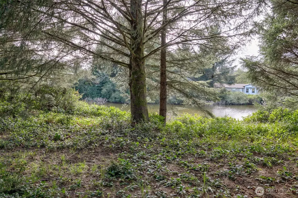 189 Duck Lake Drive NE Ocean Shores WA 98569