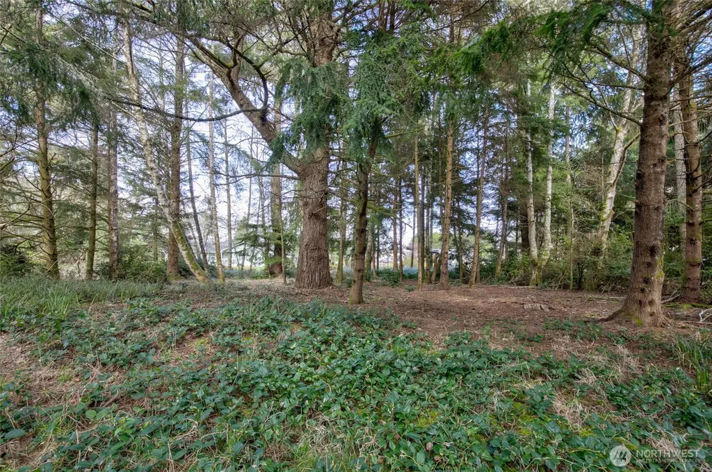 189 Duck Lake Drive NE Ocean Shores WA 98569