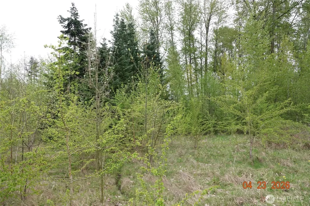 11703 34th Avenue E Tacoma WA 98446