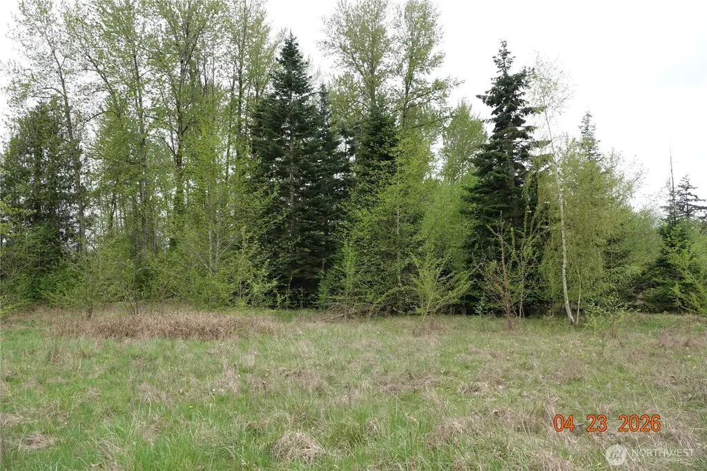 11703 34th Avenue E Tacoma WA 98446