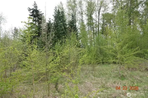11703 34th Avenue E Tacoma WA 98446