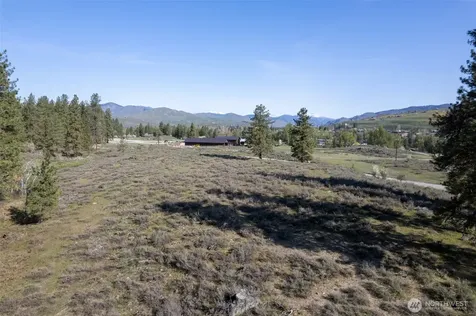 9 Cascadian Way Winthrop WA 98862