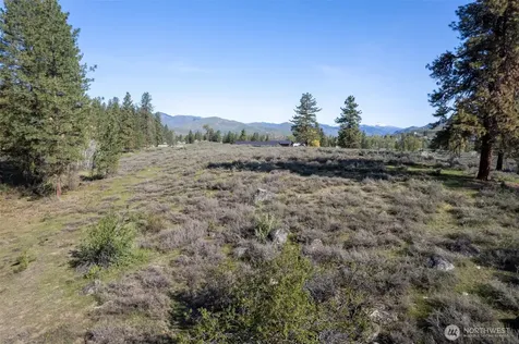 9 Cascadian Way Winthrop WA 98862