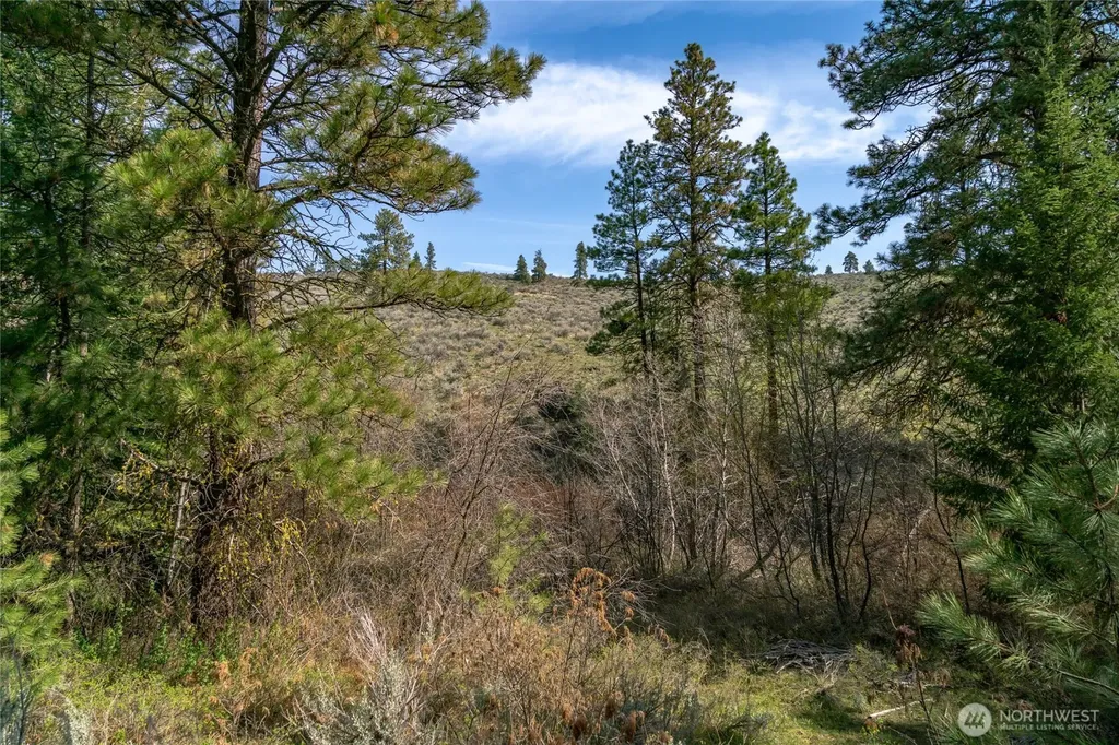 105 Wild Turkey Road East Wenatchee WA 98802