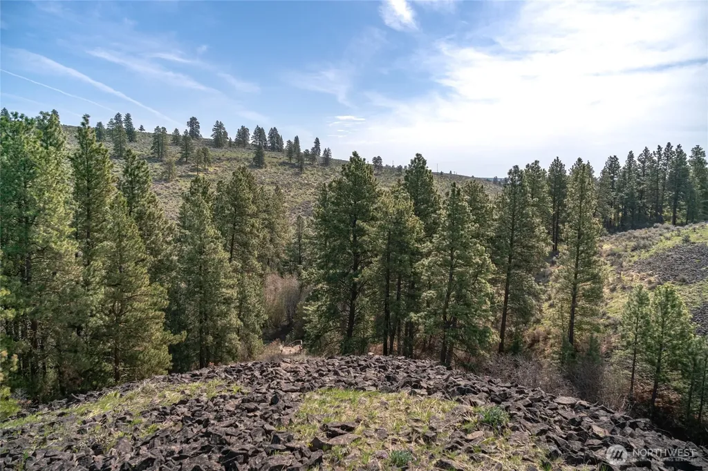 105 Wild Turkey Road East Wenatchee WA 98802